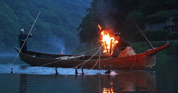 cormorans pêche japon ukai